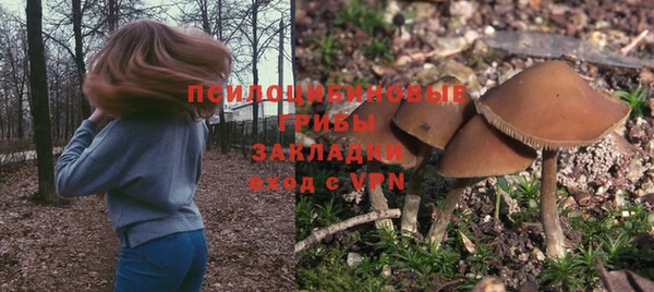 сатива Россошь