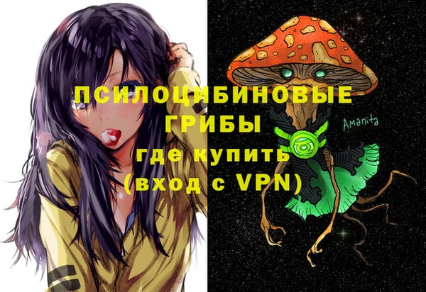 ешки Абаза