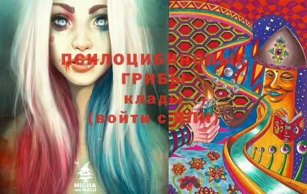 ешки Алексеевка